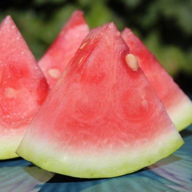 Wassermelone Congo (Samen)