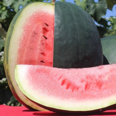 Wassermelone Florida Giant (Samen)