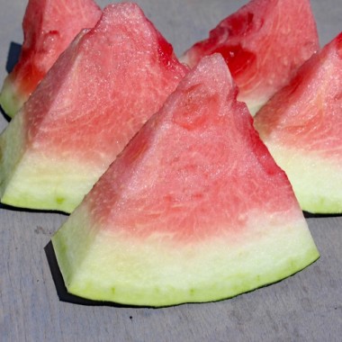 Wassermelone Florida Giant (Samen)