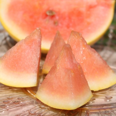 Wassermelone Golden Midget (Samen)