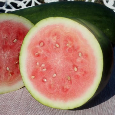 Neu! Wassermelone Kleckly Sweet (Samen)