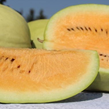 Wassermelone Missouri Heirloom (Samen)