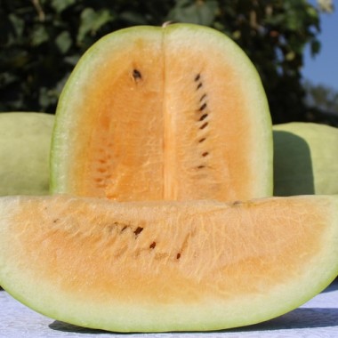 Wassermelone Missouri Heirloom (Samen)