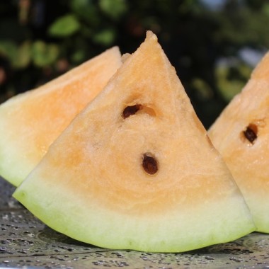 Wassermelone Missouri Heirloom (Samen)