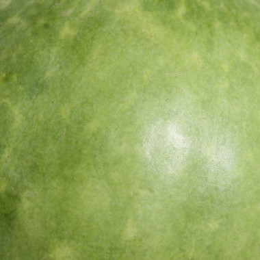 Wassermelone Missouri Heirloom (Samen)