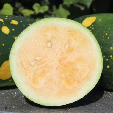 Wassermelone Moon and Stars Yellow Fleshed (Samen)