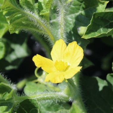 Preview: - Kopie - Kopie - Kopie - Kopie