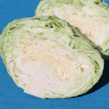 Weißkohl Brunswick (Samen)