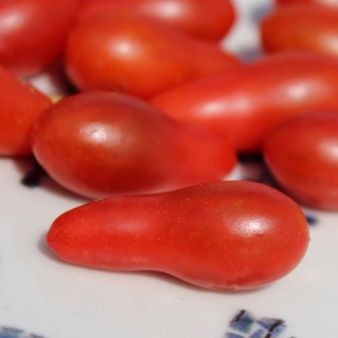 Wildtomate Mikro Birnchen rot (Freilandsorte) (Samen)