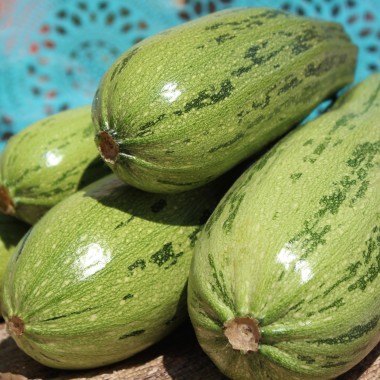 Zucchini Caserta (Samen)