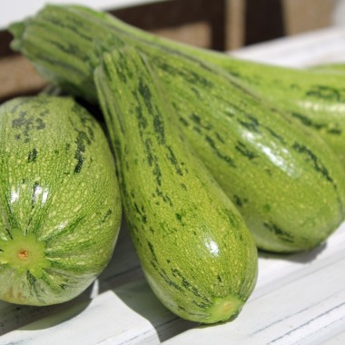 Zucchini Caserta (Samen)