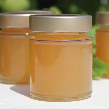 Zitronenmelisse (Samen)