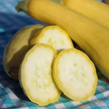 Zucchini Early Prolific Straightneck (Samen)