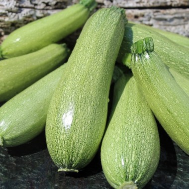 Zucchini Gray (Samen)