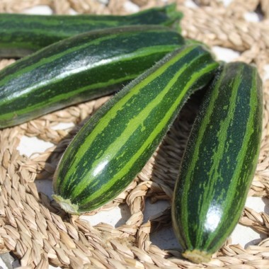 Neu! Zucchini Striato Pugliese (Samen)