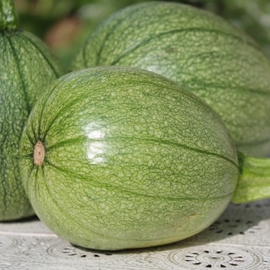 Zucchini Tatume (Samen)