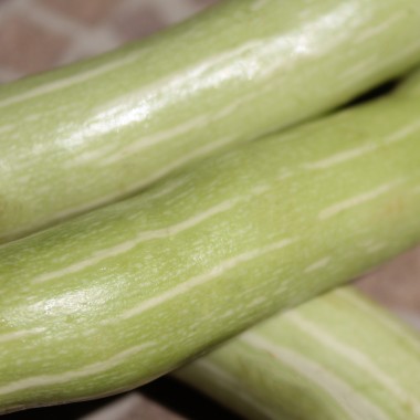 Zucchini Tromboncino d'Albenga (Samen)