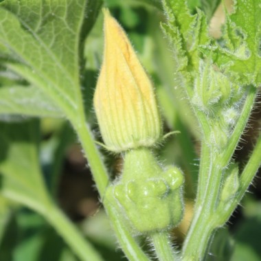 Preview: - Kopie - Kopie - Kopie - Kopie - Kopie