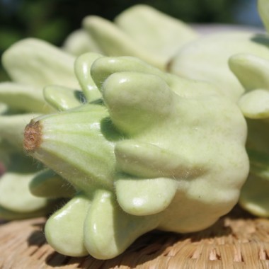 Preview: - Kopie - Kopie - Kopie - Kopie - Kopie