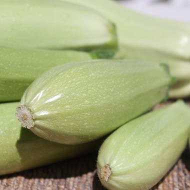 Zucchini Zloty Cepelin (Samen)