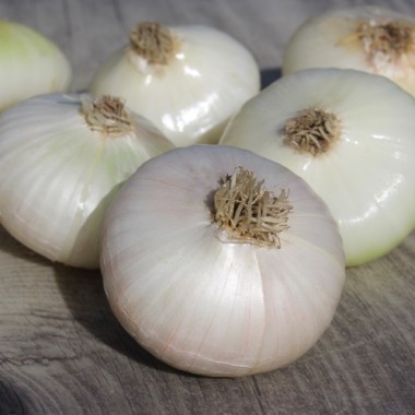 Zwiebel Bianca de Maggio (Samen)