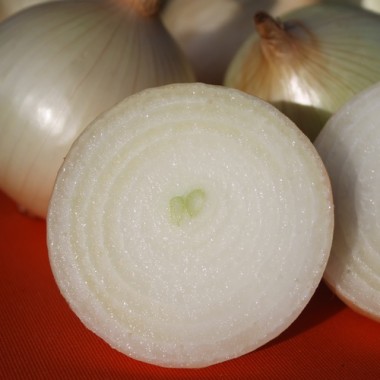 Zwiebel Cénol Type Jaune des Cévennes (Samen)