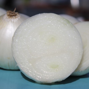 Zwiebel La Migliore Delle Blanche (Samen)