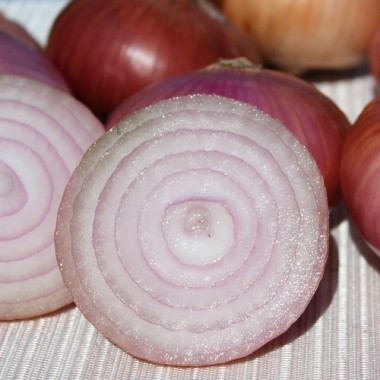 Zwiebel Montorese (Samen)