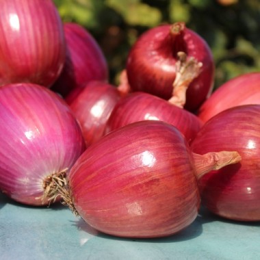 Zwiebel Ramata Rossa (Samen)