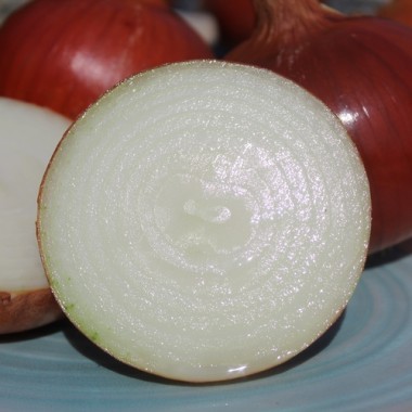 Zwiebel Ramata di Milano (Samen)