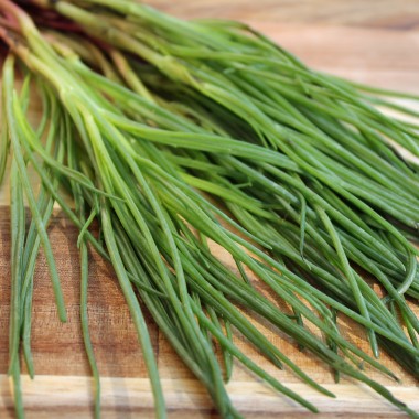 Agretti (Samen)
