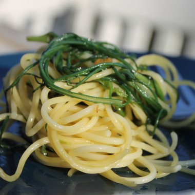 Agretti (Samen)
