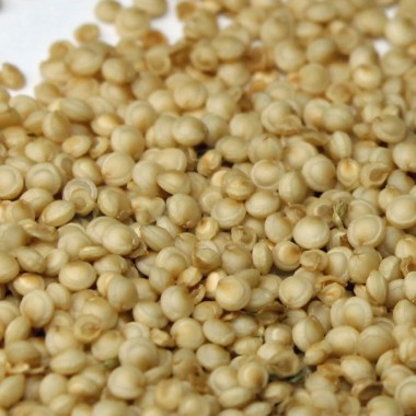 Amaranth Golden Giant (Samen)