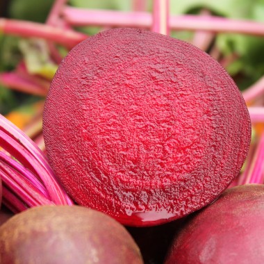 Beete Rote Kugel II (Samen)