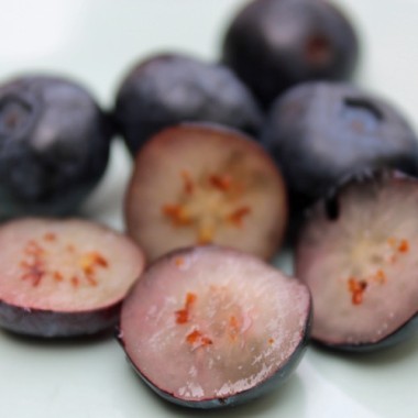 Blaubeere Rubel (Pflanze)