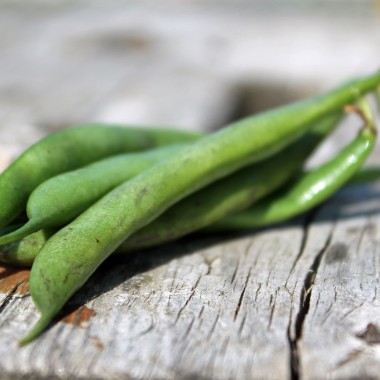 Buschbohne Flageolet Chevrier Vert (Samen)