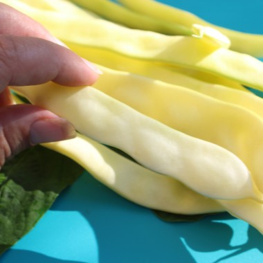 - Kopie - Kopie - Kopie - Kopie - Kopie - Kopie