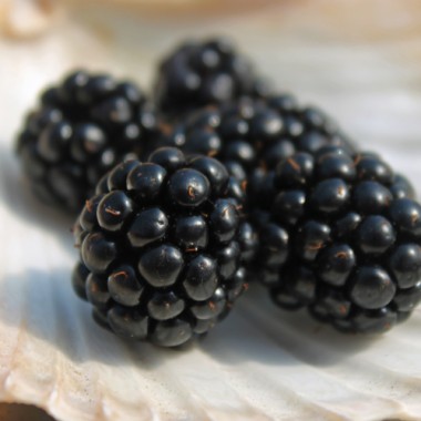 Brombeere Adrienne (Pflanze)