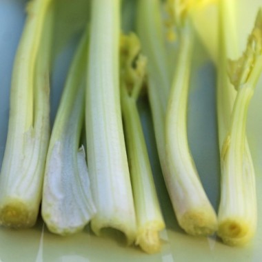 Chinesischer Sellerie White Stem (Samen)