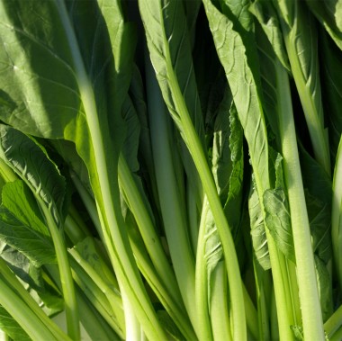Choy Sum (Samen)
