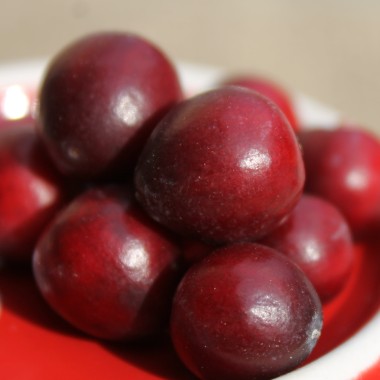 Cranberry Early Black (Pflanze)