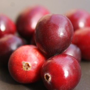 Cranberry Langlois (Pflanze)