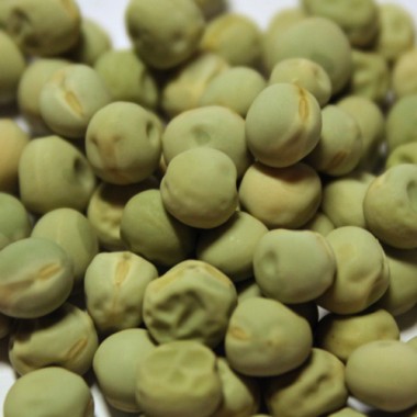 Zuckererbse Oregon Sugar Pod II (Samen)