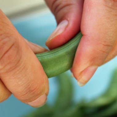 Knackerbse Sugar Snap (Samen)