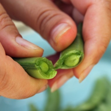 Knackerbse Sugar Snap (Samen)