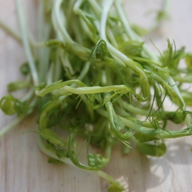 Microgreens Erbsenspargel (Samen)