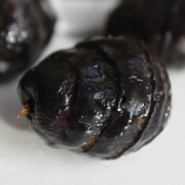 Erdmandel Large Black (Samen)