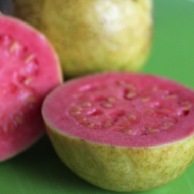 10 Stücke Seltene Kumquat Obst Samen Exotische Köstliche Frucht Garten Pflanzen~ 