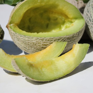 Honigmelone Green Nutmeg (Samen)