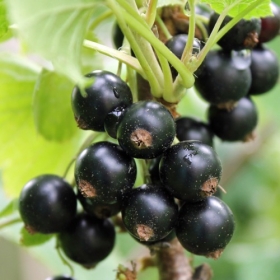 - Kopie - Kopie - Kopie - Kopie - Kopie